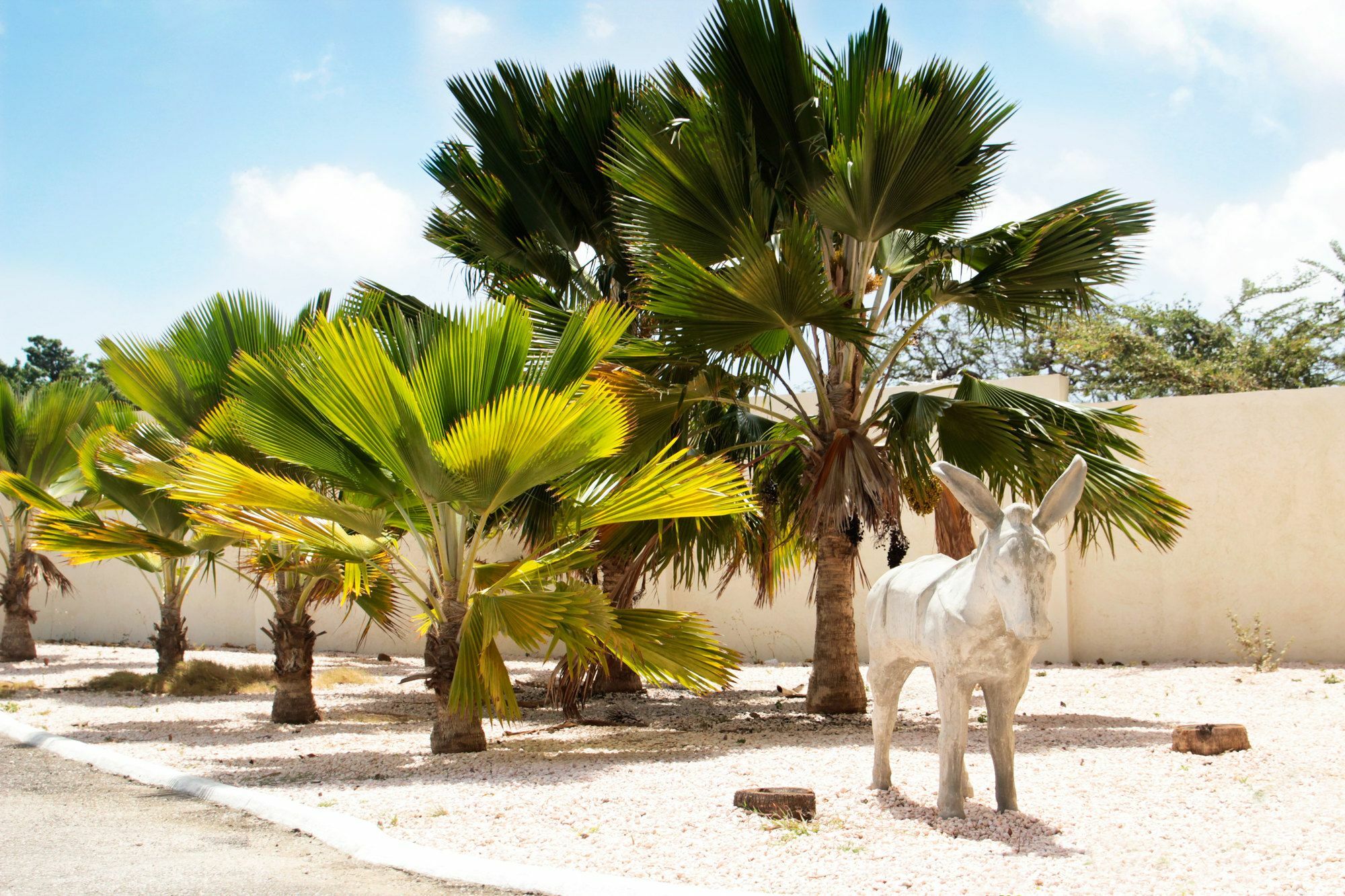 Abc Lodges Curacao Willemstad Esterno foto